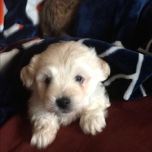 Meet your Posher, Jenifer